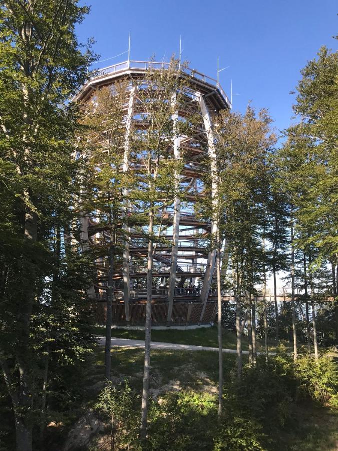 Apartment Parkvilla Traunsee Altmünster Eksteriør bilde
