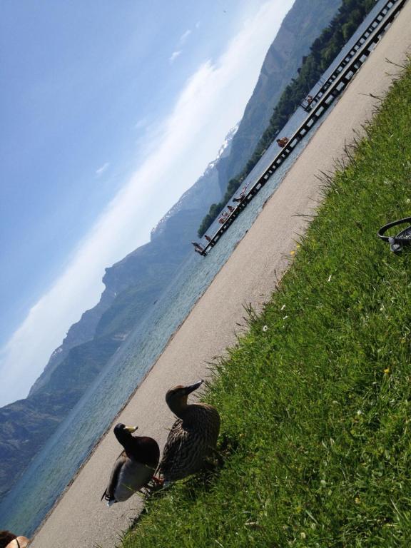 Apartment Parkvilla Traunsee Altmünster Eksteriør bilde