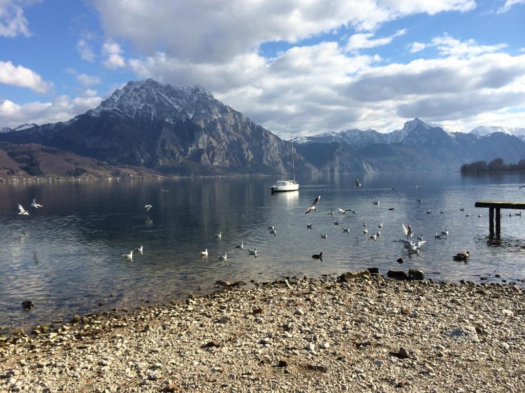 Apartment Parkvilla Traunsee Altmünster Eksteriør bilde